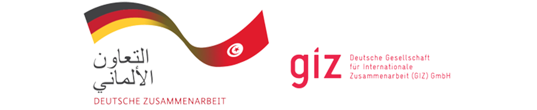 GIZ